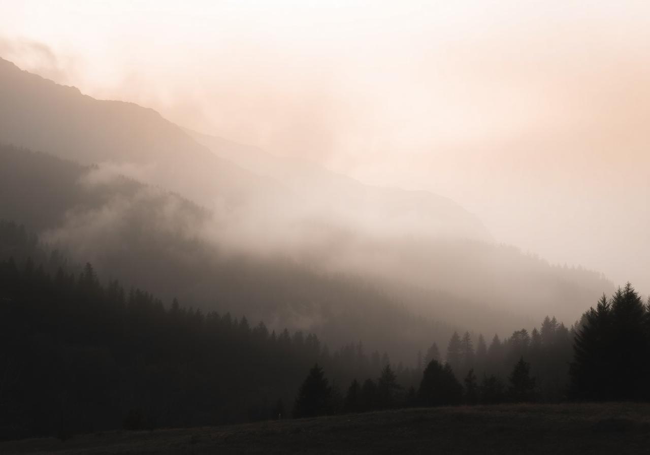 Misty landscape